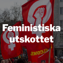 Feministiskautskottet